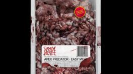 Top 25 Metal Detector Marzo (hablado)