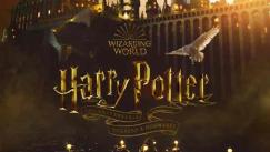 Conoce al actor que interpretará a Harry Potter en nueva serie