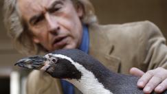 'Lecciones de un pingüino', una película basada en la vida real | Foto de cortesía