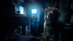 Película ‘Good Boy’ 2025 