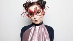 Björk ya se ha pronunciado sobre el genocidio y la colonización sobre Palestina