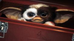 Gizmo, el pequeño mogwai protagonista de Gremlins, una de las criaturas más reconocibles de la franquicia. 